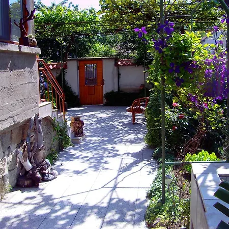 Guest House Kalina بافل بانيا