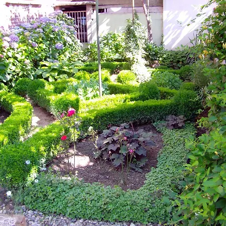 Guest House Kalina